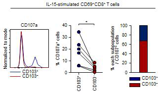 PKH26을 레이블화한 K5632 세포와 분획수득한 CD69+CD8+ T 세포를 1:20으로 12시간 공배양 한 뒤 수득하기 4 시간 전에 항 CD107a 항체를 처리하여 유세포 분석기로 관찰하여 각 군마다 비교
