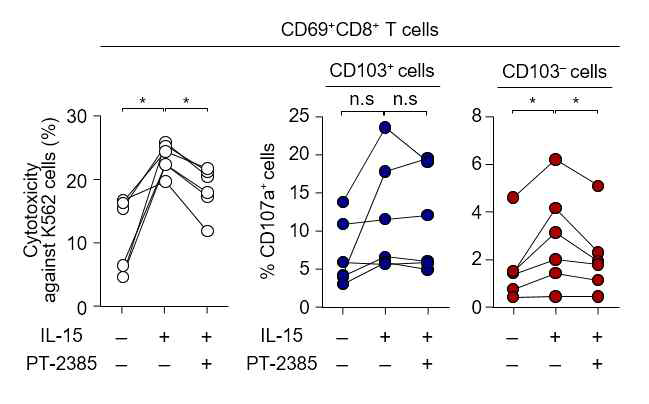 간내 관류액 T 세포의 IL-15 유도 세포독성능의 변화를 PT-2385 처리에 따라 분석. 세포독 성능 (TO-PRO3 양성 K562 세포주, 좌), 각 세포군에서의 세포독성 마커 발현 분석 (CD107a, 우)
