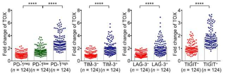 종양 침윤 CD8 T 세포 내 PD-1, TIM-3, LAG-3, TIGIT 발현 여부에 따른 TOX 발현 변화량 분석 (n=124)