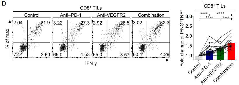 NY-ESO-1 특이적인 PD-1+VEGFR2+ 종양 조직 상주 CD8+ T 세포와 HLA-A2 양성인 PD-L1+ Caco-2 MSS CRC 세포를 공배양 한 뒤 NY-ESO-1 에 관한 HLA-A2 특이적인 에피토프를 주어 IFN-g와 TNF 사이토카인 분비능 평가