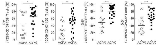 류마티스 관절염 관절액 내 perforin 혹은 granzyme B 발현 세포의 APCA 양성 여부에 따른 분율의 차이