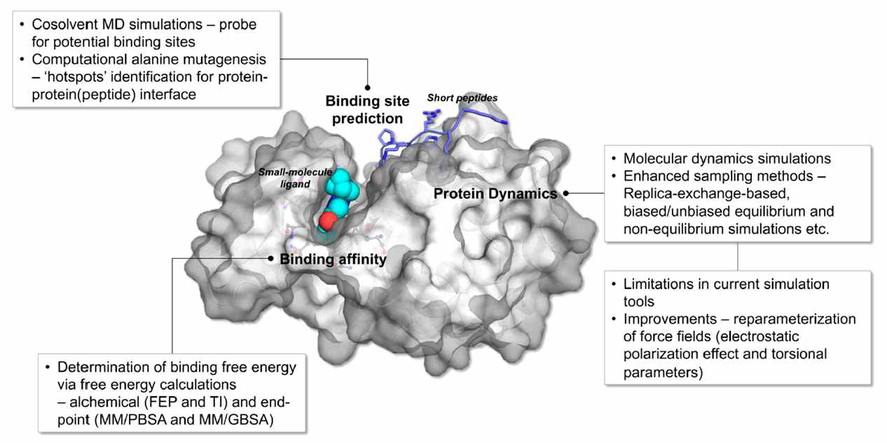 Molecular dynamics (MD) simulation and enhanced sampling methods utilized in the study of protein-protein (peptide) and protein-ligand complexes