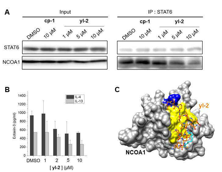 a) Co-immunoprecipitation assay, b) Effects of yl-2 on IL-4 or IL-13 -dependent eotaxin-3 secretion, c) NCOA1 과 yl-2 co-crystal structure