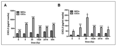 Effect of fractionated irradiation on radiation-induced secretion of CXCL5 in cancer endothelial cells isolated from colrectal cancer tissues (A) and head & neck cancer tissues (B)