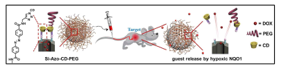 저산소 고형암세포에서 발현되는 NQO1 targeting용 새로운 theranostic 플랫폼의 모식도