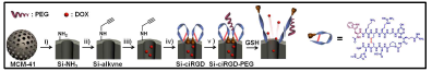 iRGD 펩타이드가 도입된 mesoporous 나노전달체의 모식도