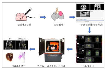 임상 모사 소동물 방사선 치료 환경 구축과 치료 효과 분석을 위한 프로세스 모식도