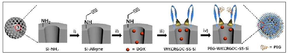 암혈관내피세포를 선택적으로 타겟팅할 수 있는 mesoporous 나노전달체의 합성 모식도. 조건: i) propagyl bromide; ii) CTAB removal, DOX loading; iii) CuSO4, sodium ascorbate, WKCRGDCN3-SS; iv) PEG-NCO
