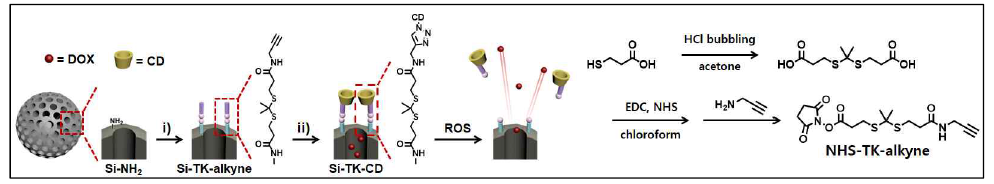 Thioketal을 이용한 ROS 타겟팅 나노전달체의 모식도 및 합성 경로