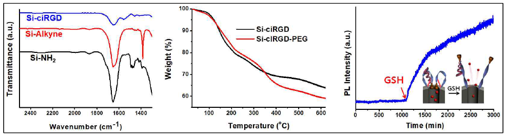 항암치료 효율 극대화를 위한 iRGD 펩타이드가 도입된 나노전달체의 합성 확인 및 조절방출 특성 규명