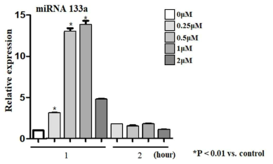 시험관 내 급성 관상동맥증후군 유도 모델에서의 miRNA-133a의 증가