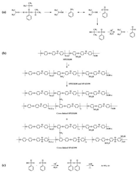 (a) DMSO 와 SPEEK88의 술폰화 그룹 사이의 반응에 의한 친전자체 (-SO2+) 형성 모식도, (b) 친전자체 (-SO2+)와 SPEEK88 또는 SPAES90 에 존재하는 친핵체 사이의 친전자성 치환 반응에 의한 가교 반응, (c) aromatic sulfonic anhydride를 통한 가교 반응