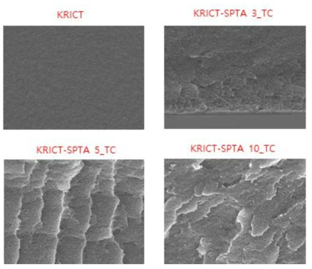 Semi-IPN 고분자 전해질 막의 cross-sectional SEM 이미지