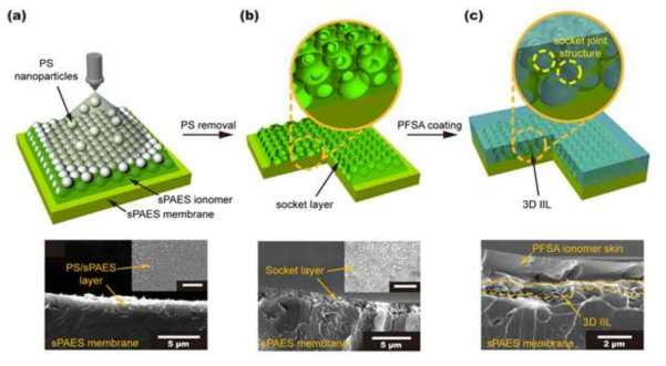 3차원 맞물림 계면 구조 제조 공정 요약도 및 공정 단계별 SEM image (a) 폴리스티렌 비드/sPAES 이오노머 spray-coating (b) 폴리스티렌 비드 선택적 제거 (c) 나피온 이오노머 dip-coating을 통한 3차원 맞물림 구조 구현