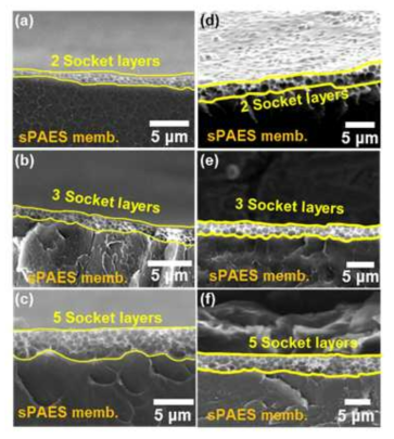 다공층 (socket layer)이 도포된 sPAES 단면 SEM image (a) 700PS-39 (b) 700PS-54 (c) 700PS-72 (d) 1300PS-39 (e) 1300PS-72 (f) 1300PS-123