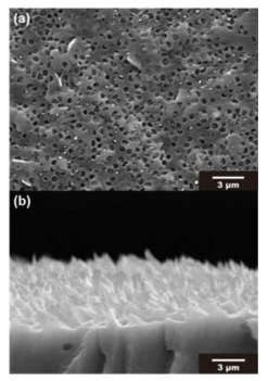 계면 탈리 후 sPAES 막과 나피온 막의 SEM image (a) sPAES 막의 표면 (b) 나피온 막의 단면