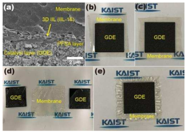 (a) IIL-16을 이용해 제조한 MEA-16의 계면 SEM image (b) MEA-F 및 (c) MEA-16 사진 (d) hydrothermal test 1분 후 MEA-F (e) 60분 후 MEA-16 사진