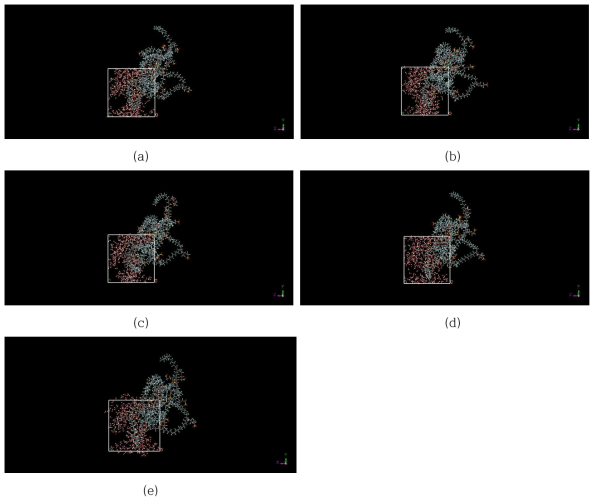 force-field 종류에 따른 나피온 3D 모델구조(빨간색: 산소, 흰색: 수소, 회색: 탄소, 하늘색: 불소, 노락색: 황) (a) COMPASS, (b) pcff, (c) pcff-com, (d) Universal, (e) Dreiding