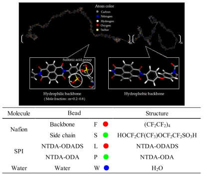 술폰화 폴리이미드 화학구조 및 각 모델의 bead 구조 정보 및 모델 생성 변수