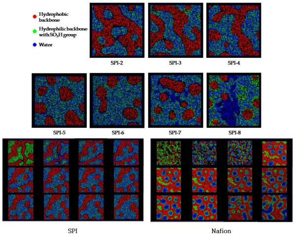 술폰화 폴리이미드의 3D 메조스케일 모델(상) 및 물분자 비율 증가에 따른 술폰화 폴리이미드 및 나피온의 상분리 현상 및 수화채널 형성 과정 비교(하)