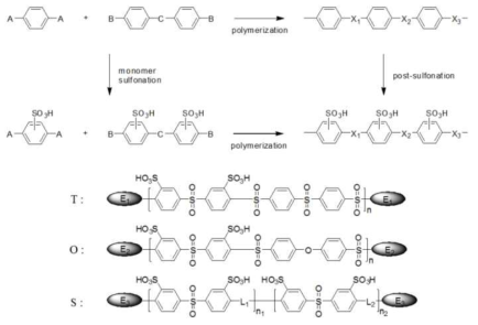고술폰화 친수성 구조 합성 기술 및 친수성 소중합체(T, O, S)의 구조