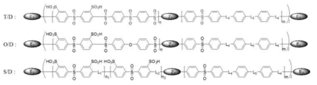 멀티블록형 고분자 전해질(T/D, O/D, S/D) 구조