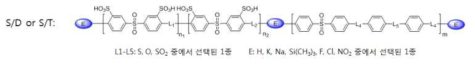 멀티블록형 고분자 전해질(S/D, S/T)의 구조