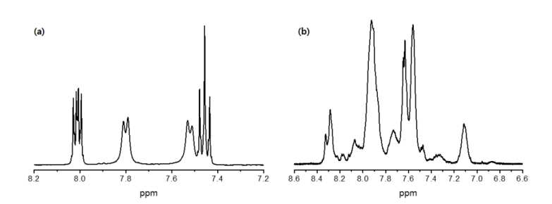 제조된 단량체(F)와 친수성 가지구조의 1H-NMR 분석 결과