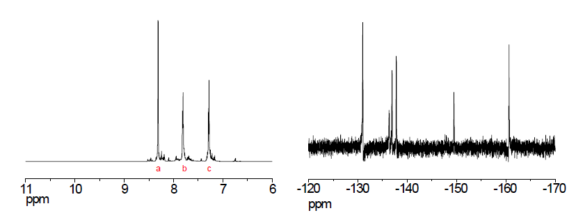 합성된 측쇄의 1H-NMR 및 19F-NMR 분석 결과