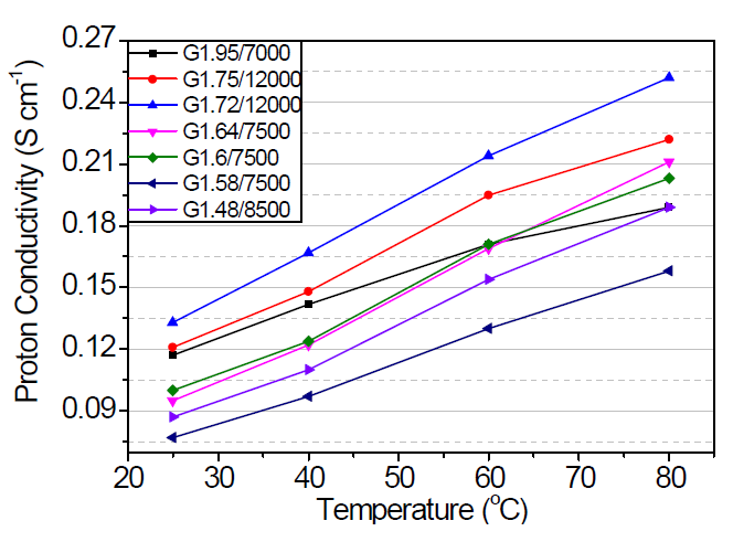가지형 고분자 전해질막의 이온전도도 (100 %)