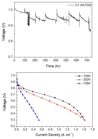 G1.64/7500의 연료전지 단위전지 OCV평가 결과