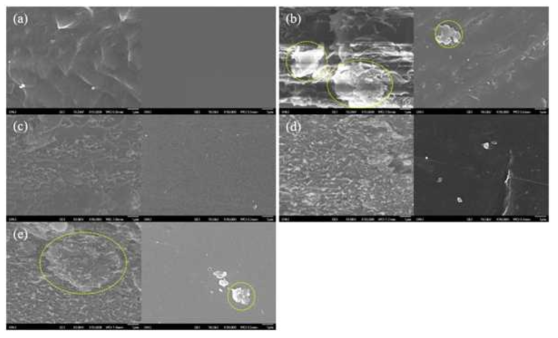 고분자 제작된 전해질막의 단면(왼쪽) 및 표면(오른쪽)의 주사 전자 현미경 이미지: (a) SPAES, (b) SPAES/GO-2.0, (c) SPAES/SATS-GO-1.0, (d) SPAES/SATS-GO-2.0, (e) SPAES/SATS-GO-3.0