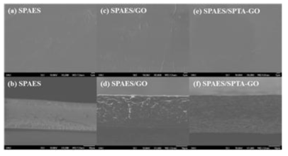 SPAES, SPAES/GO, 그리고 SPAES/SPTA-GO의 SEM 이미지