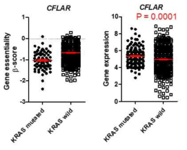 KRAS mutation 세포주에서 CFLAR의 변화