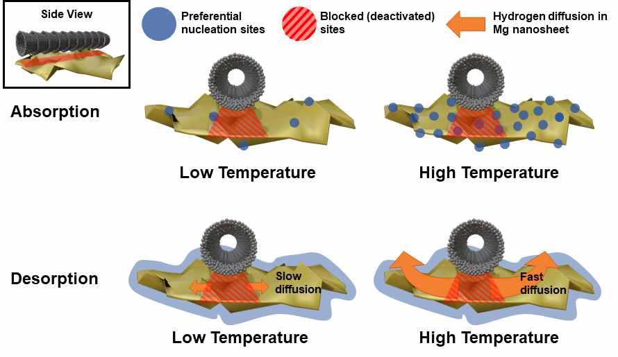 CNF/Mg의 수소 흡수/방출 메커니즘 (ACS Applied Energy Materials 2020, 3 (9), 8143-8149)