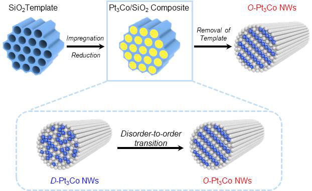 메조포러스 실리카 주형을 이용한 합금 나노선 모델 촉매(D -Pt3Co NWs) 및 인터메탈릭 나노선 모델 촉매(O -Pt3Co NWs)의 합성 과정 모식도