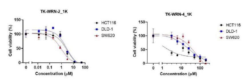 TK-WRN-2, TK-WRN-4 화합물 활성 및 선택성 결과