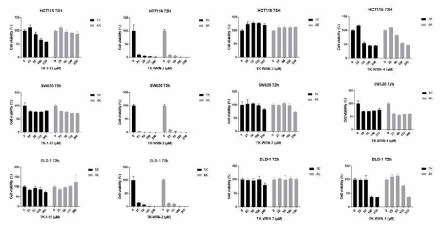 TK-WRN-1,2,3,4 화합물 활성 및 선택성 결과