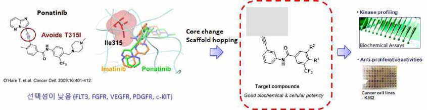 3-aminoindazole 치환된 ponatinib 유도체의 설계 개념도