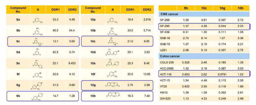 In vitro biochemical assay (IC50，nM) of the target compounds against DDR1 and DDR2 kinases， and in vitro cellular assay (GI50，yM) over human CNS and colon cancer cell lines