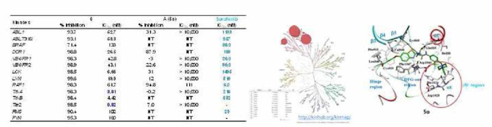 IC50 values of compounds 5a and 6 against the most sensitive kinases, their ditribution in the kinase tree, and its docking mode against TrkA