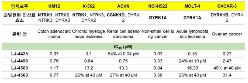 주요 LJ series의 kinase과발현 세포주 활성