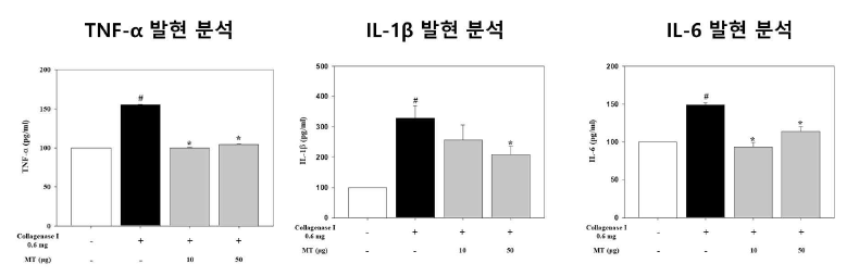 미토콘드리아 이식을 통한 염증 사이토카인 발현 분석