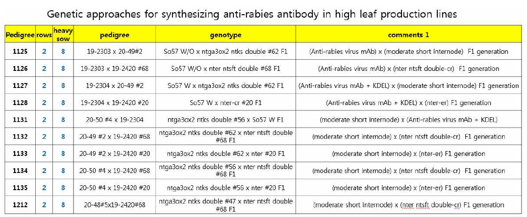 1단계 사업에서 anti-rabies antibody (SO57K)를 발현 생산하는 식물에 대한 유전자 가위 approach를 통해 대량생산할 수 있는 식물체 개발 현황