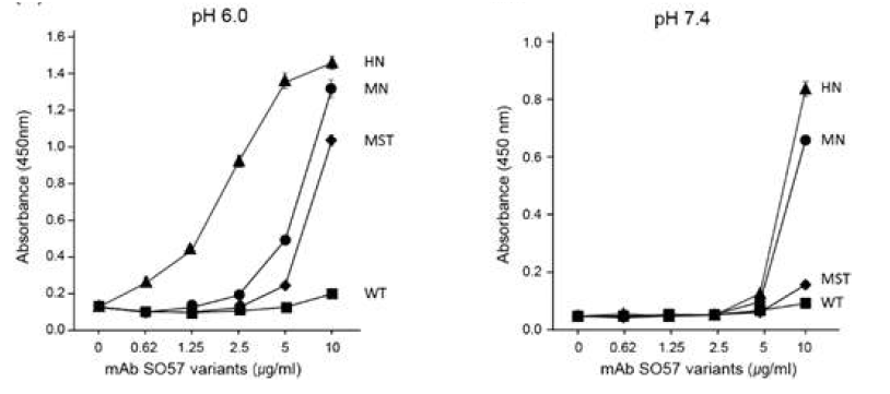 식물유래 mAbpK SO57 variants MST, MN, and HN 단백질을 이용하여 FcRn과 상호작용을 통해 항체의 반감기 확인