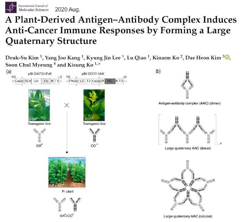 International Journal of Molecular Sciences Journal에 게재한 “A plant-derived Antigen-Antibody complex induces anti-cancer immune responses by forming a large quaternary structure”논문