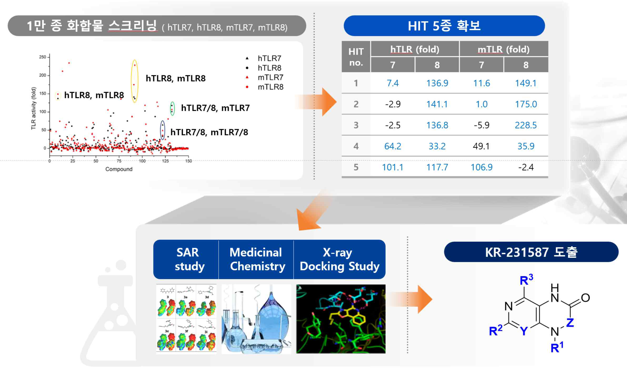 TLR 7&8 dual agonist HIT 도출