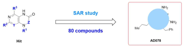 선도물질 최적화를 연구를 통한 AD078 화합물 도출
