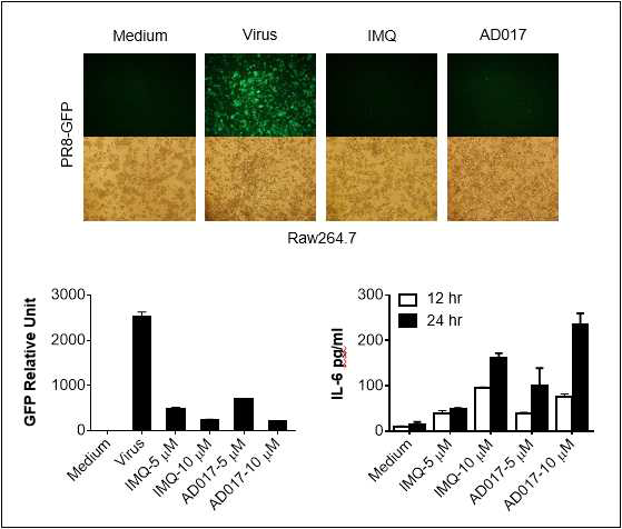AD017 화합물의 항바이러스 효능 및 IL-6 분비 유도능
