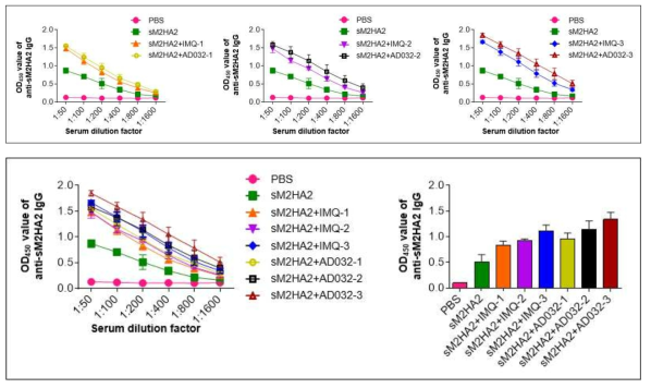 sM2HA2 항원에 대한 AD032 화합물의 체액성 면역원성 검증